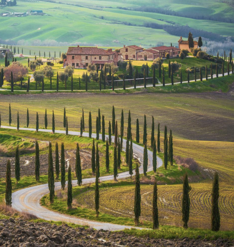 Exploring the Timeless Elegance of Chianti: A Journey Through Tenuta's ...